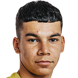 Junior Noel Arteaga Pineda