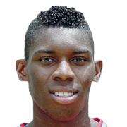 Keyner Yamal Brown Blackwood