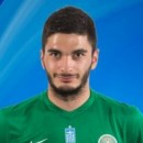 Vasilios Gavriilidis