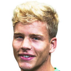 Wesley Nata Wachholz