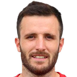 Nemanja Subotić