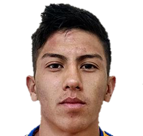 Raúl Damián Torres Rodríguez