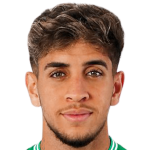 Mohamed Mizzian Salmi