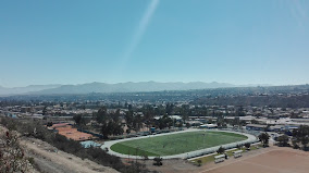 Municipal Nelson Rojas