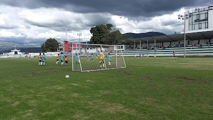 Estadio Francisco Reinoso