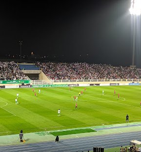 Prince Sultan bin Abdul Aziz Stadium