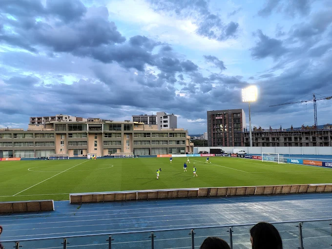 David Petriashvili Arena